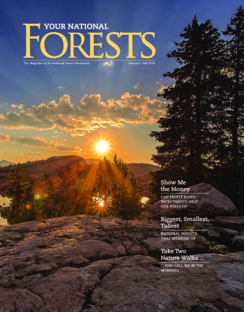 Your National Forests Magazine Summer/Fall 2019 Cover