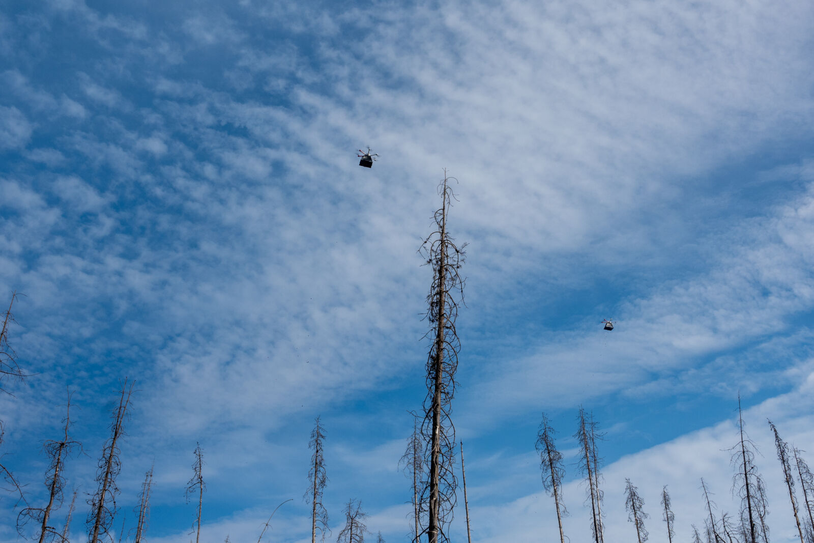 Can i fly a drone in a on sale national forest