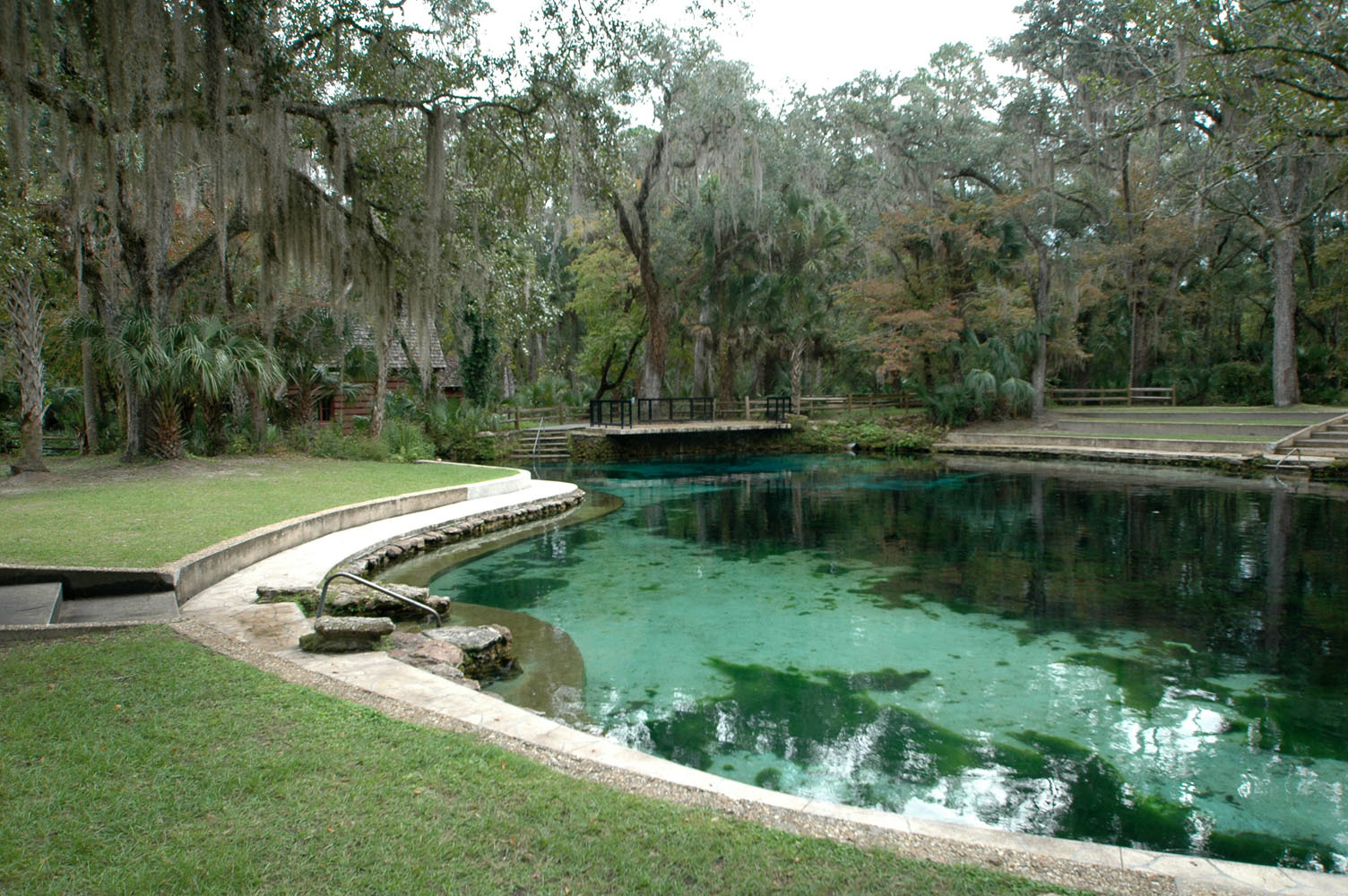 The Juniper Tree, Orlando, FL