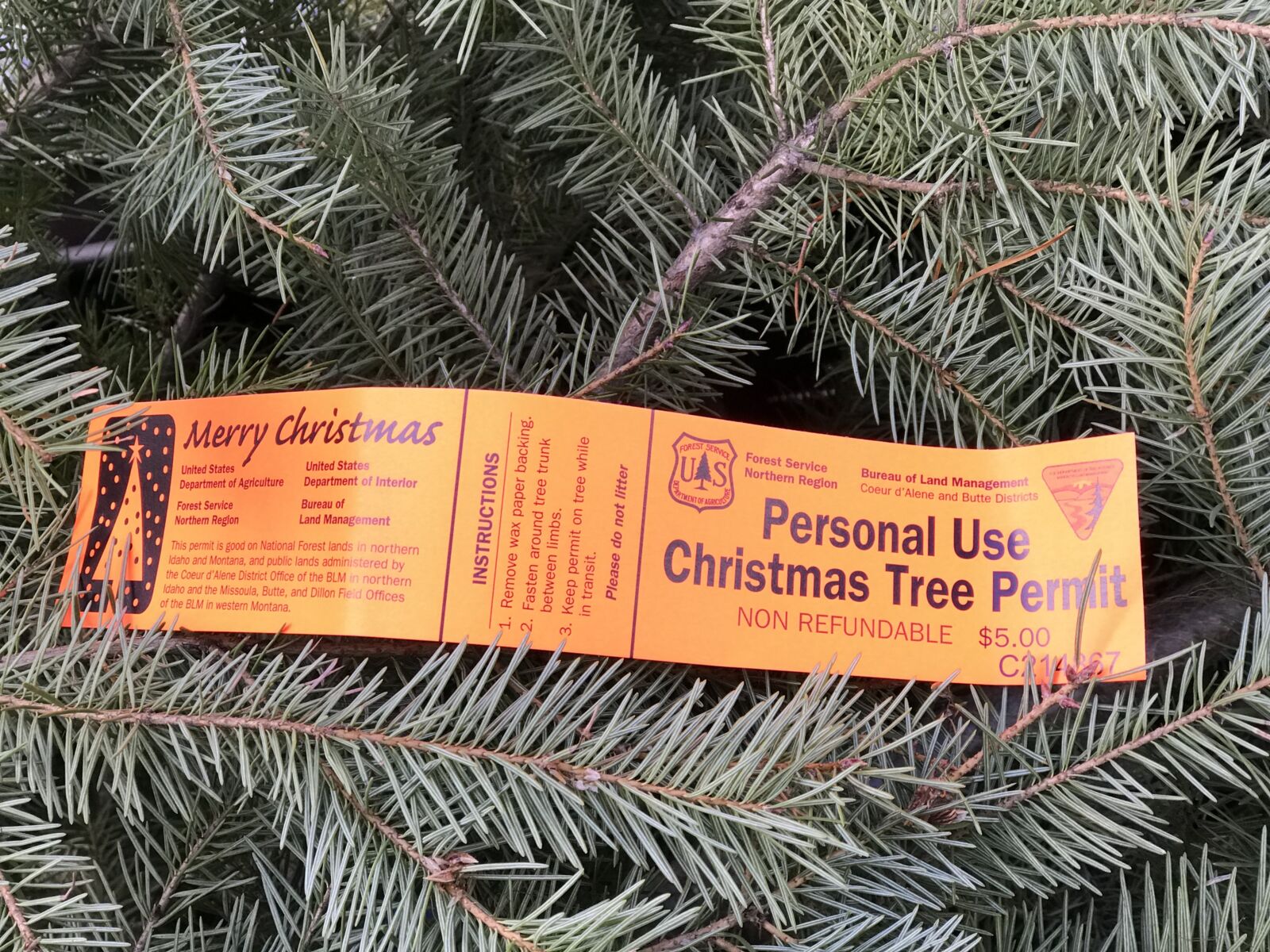 Christmas tree permit