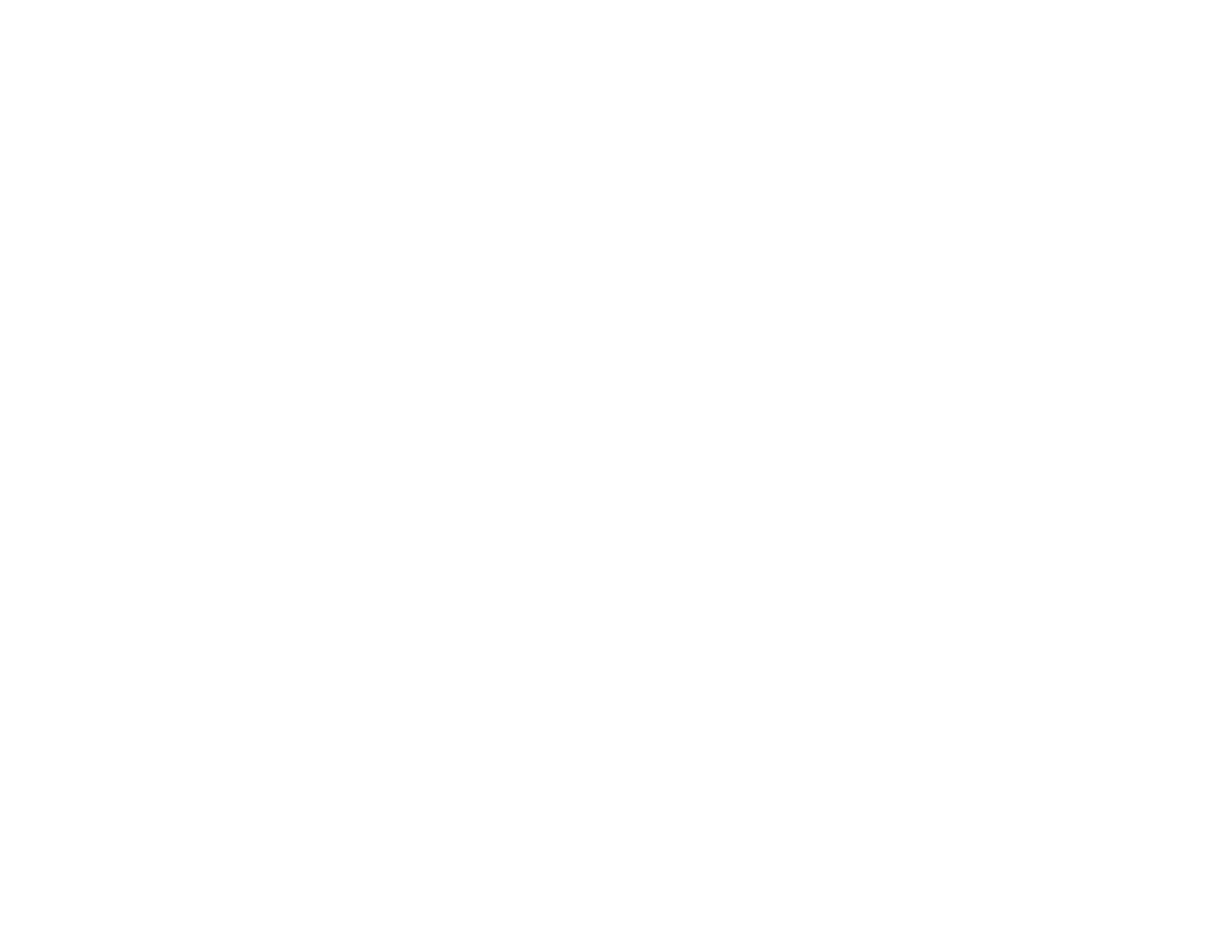 NFW Logo v White 01
