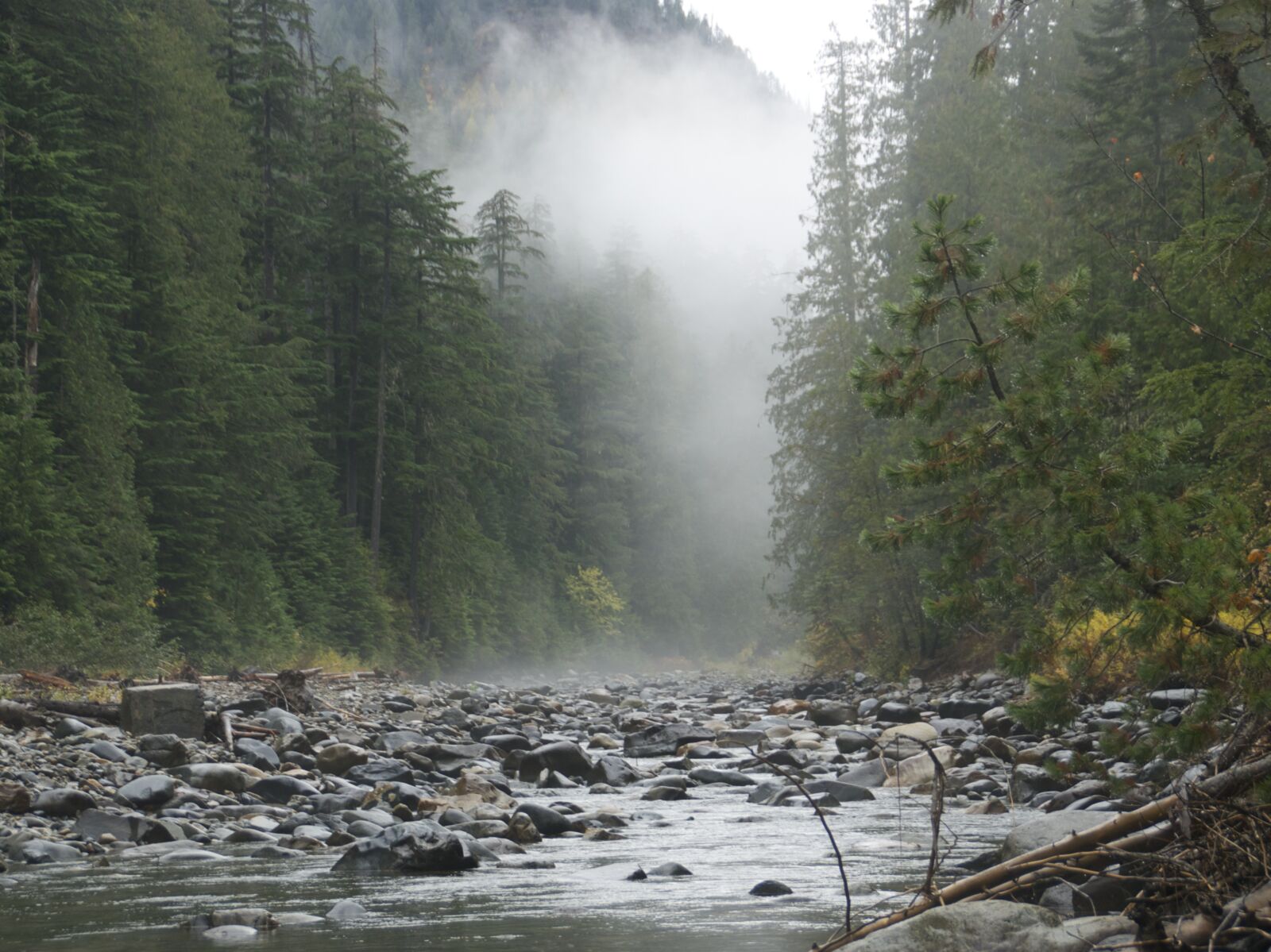 Lightning Creek On The Idaho Panhandle National Forest National