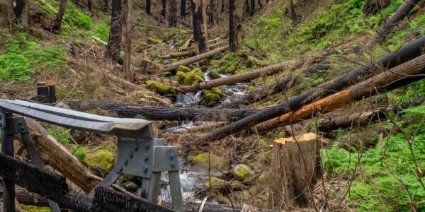 Eagle Creek Trail reopens more than 3 years after Columbia Gorge fire 