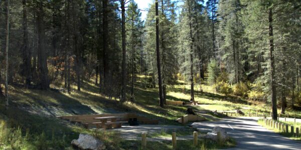 Escape to Enchantment: Your Guide to New Mexico's Bosque Campground