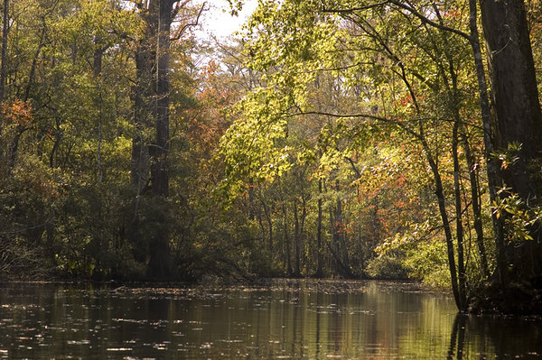 Fourteen Best Places to Canoe and Kayak on National 