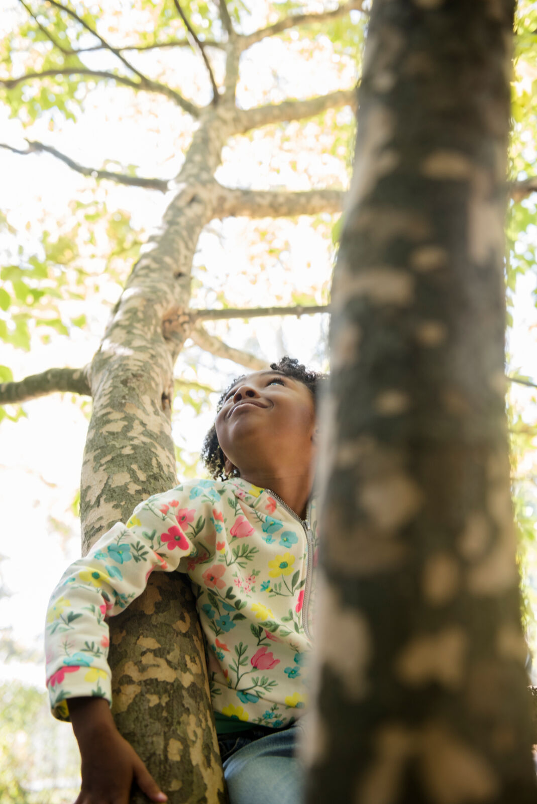 Tree & Forest Activities to do with Children - National Forest Foundation
