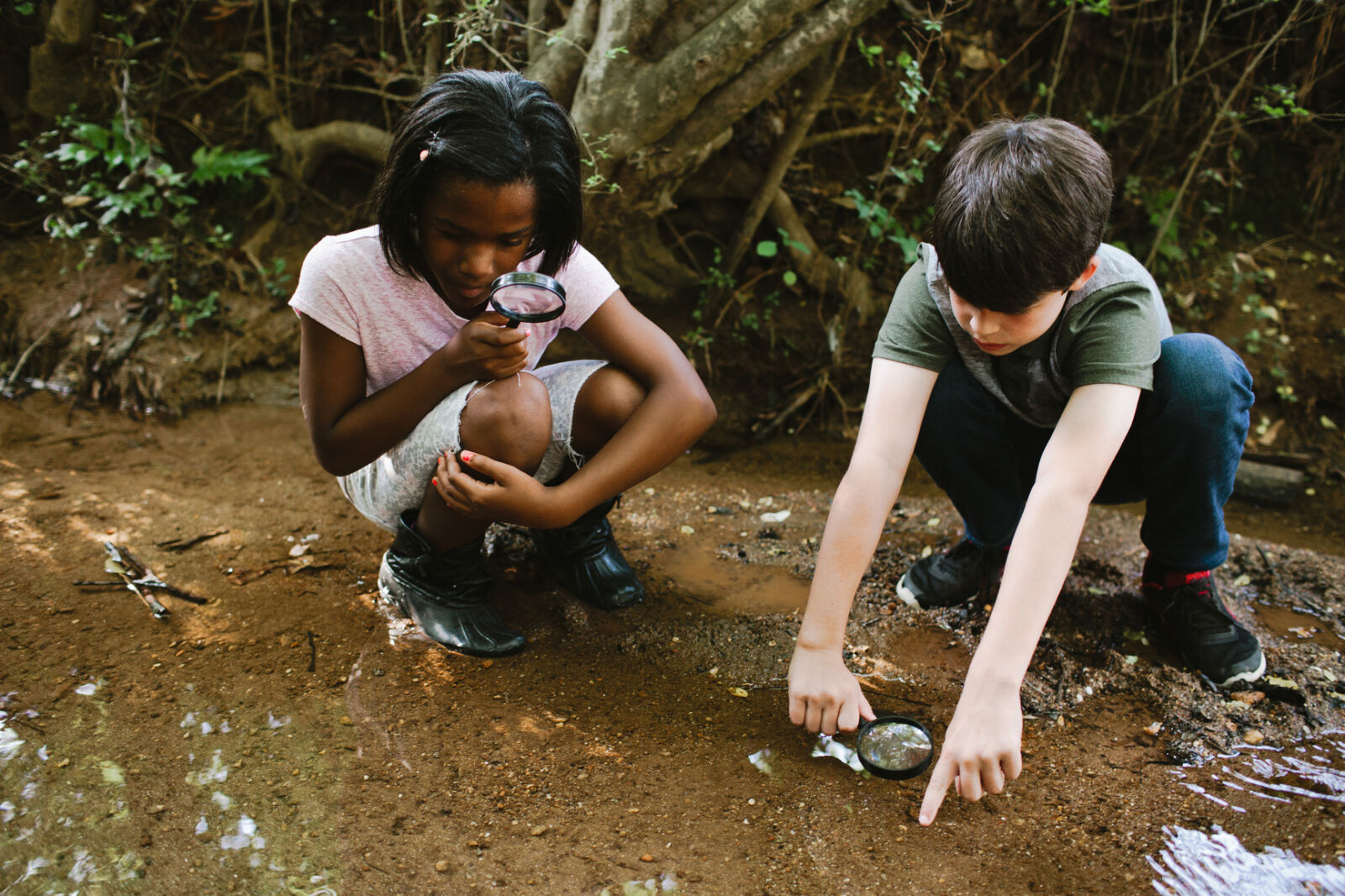 Tree & Forest Activities to do with Children - National Forest Foundation