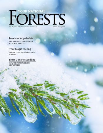 Your National Forests Magazine Winter/Spring 2018 Cover