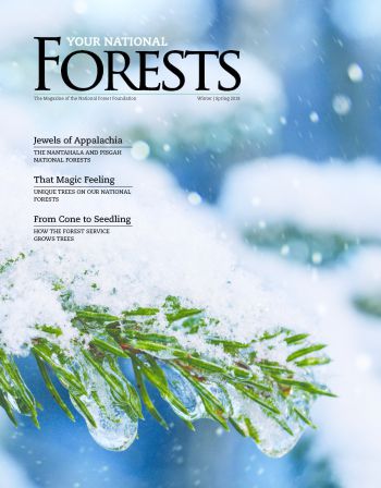 Your National Forests Magazine Winter/Spring 2018 Cover