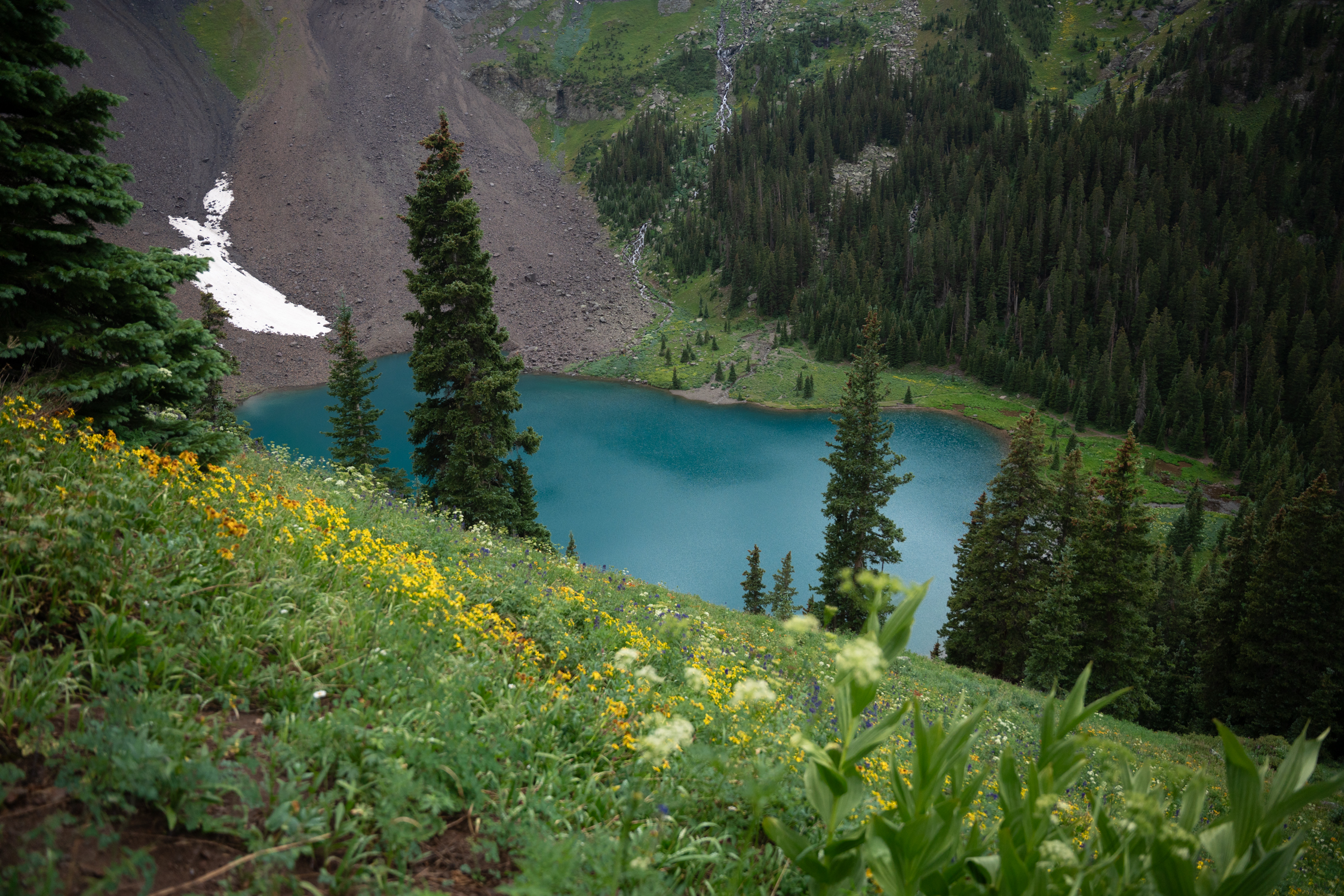 Protecting Colorado's 14ers for the Future — National Forest